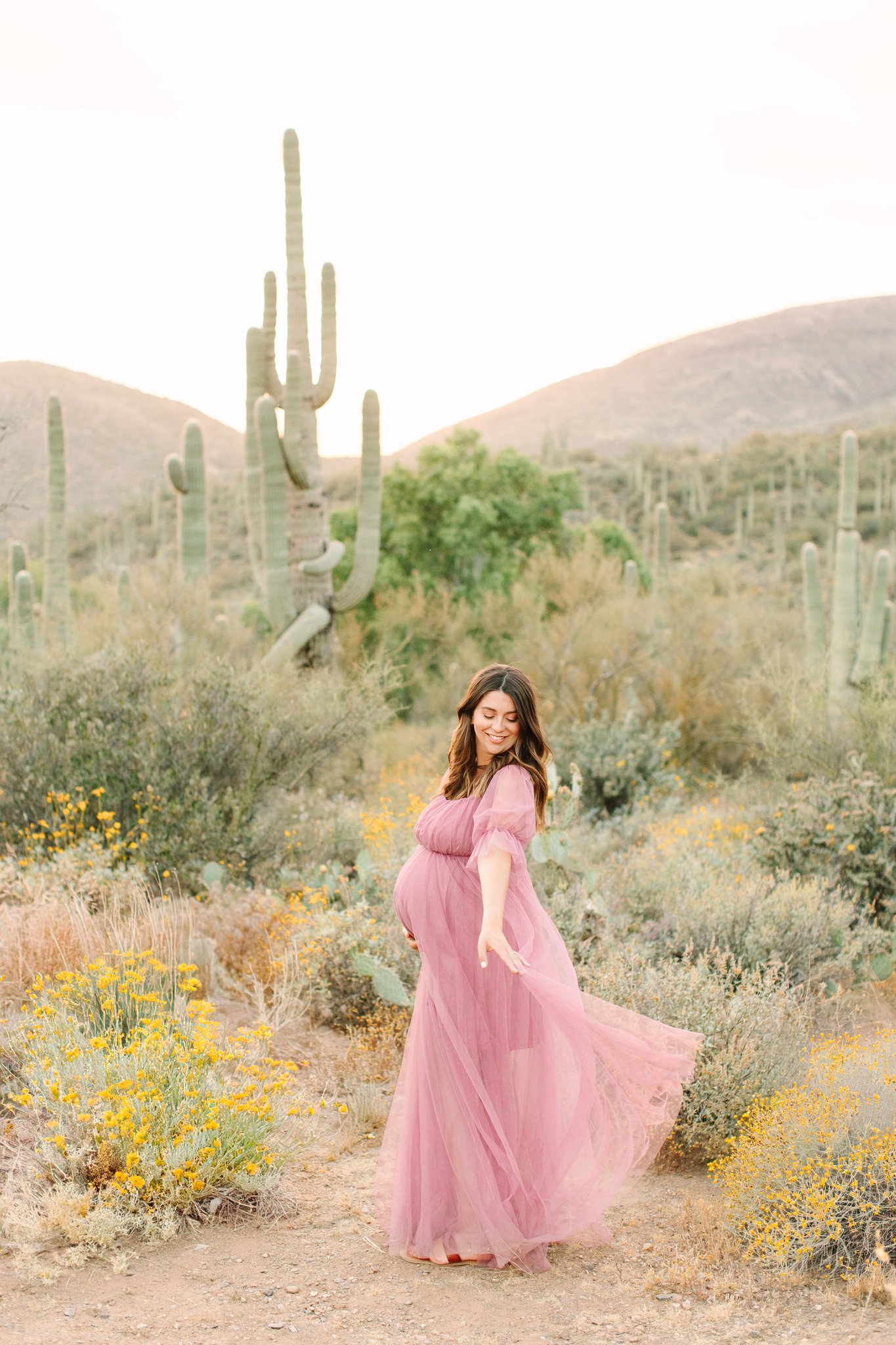 Beautiful pregnant woman in the desert wearing a flowy purple dress