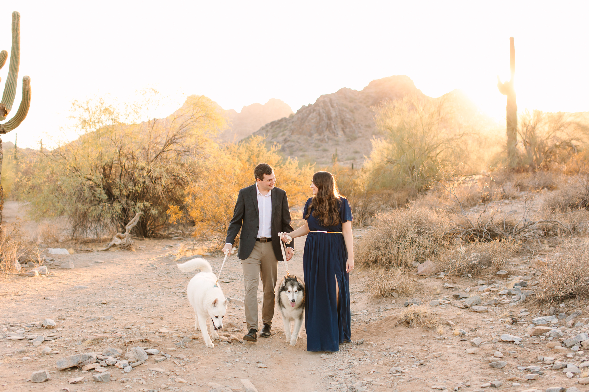 Classy young couple in the desert in Arizona at sunset with dogs